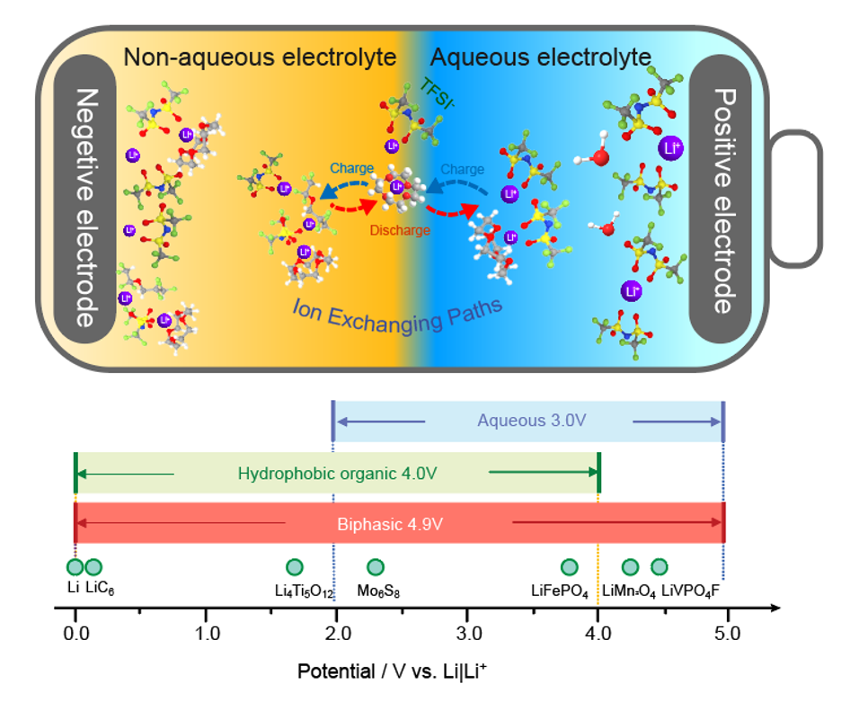 Lithium ionophore biphasic electrolytes design strategy. Schematic illustrations of the (top) lithium ionophore (e.g., 12C4) nanoclusters engineered biphasic electrolyte for Li-based batteries and (bottom) electrochemical stability windows of aqueous, non-aqueous organic, biphasic electrolytes, and the theoretical working potentials of various negative and positive battery electrode active materials. Atom color legend in the upper part of the figure: purple (Li), green (F), red (O), white (H), yellow (S), blue (N), and grey (C). /Department of Chemical and Biomolecular Engineering, UMD