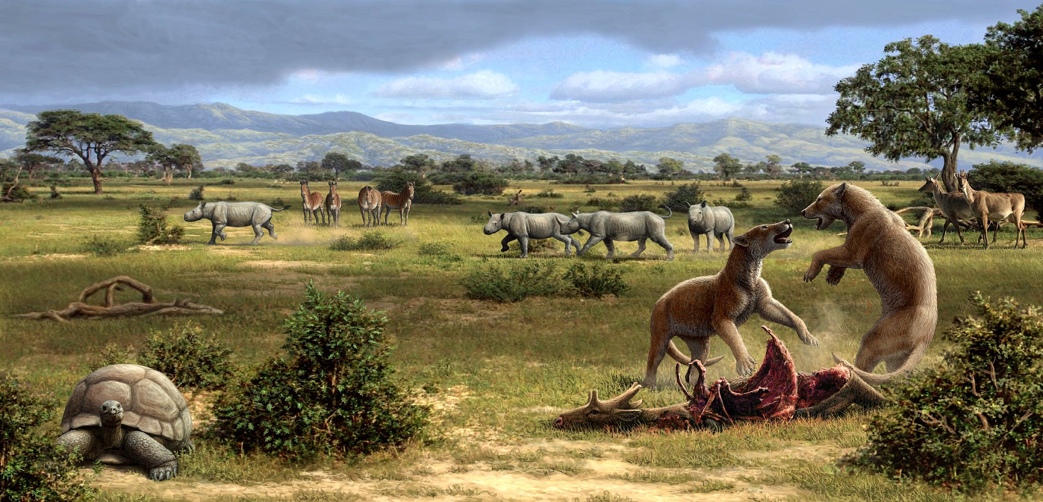 An illustration of wildlife in the Miocene period. /VCG