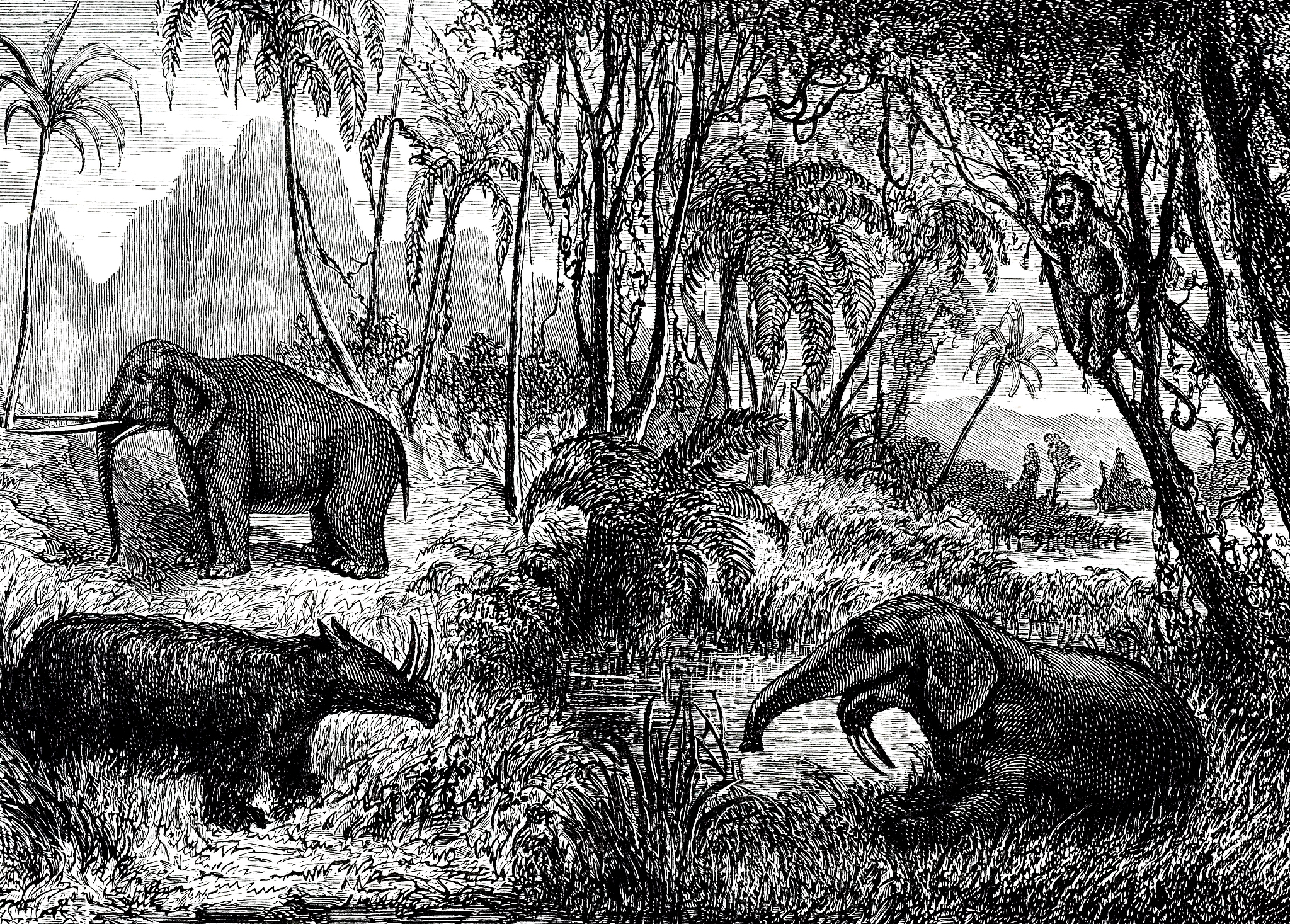 An engraving depicts a reconstruction of the Miocene period showing Deinotherium, Mastodon and Rhinoceros and the plants. /VCG