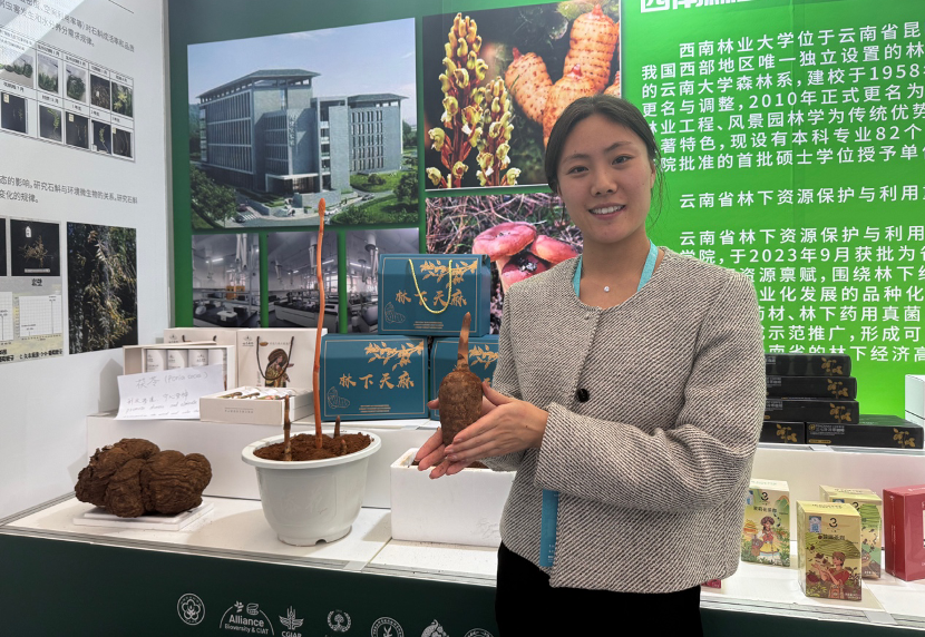 An agricultural researcher showcases a kind of medicinal herb cultivated in an innovative farming method on the sidelines of the congress in Kunming City, Yunnan Province, southwest China, May 20, 2025. /CGTN