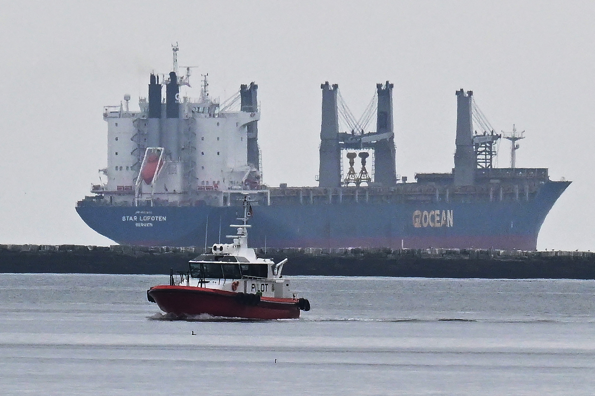 A pilot boat seen in front of an ocean freight ship at the Port of Los Angeles, California, US, April 30, 2025. /VCG