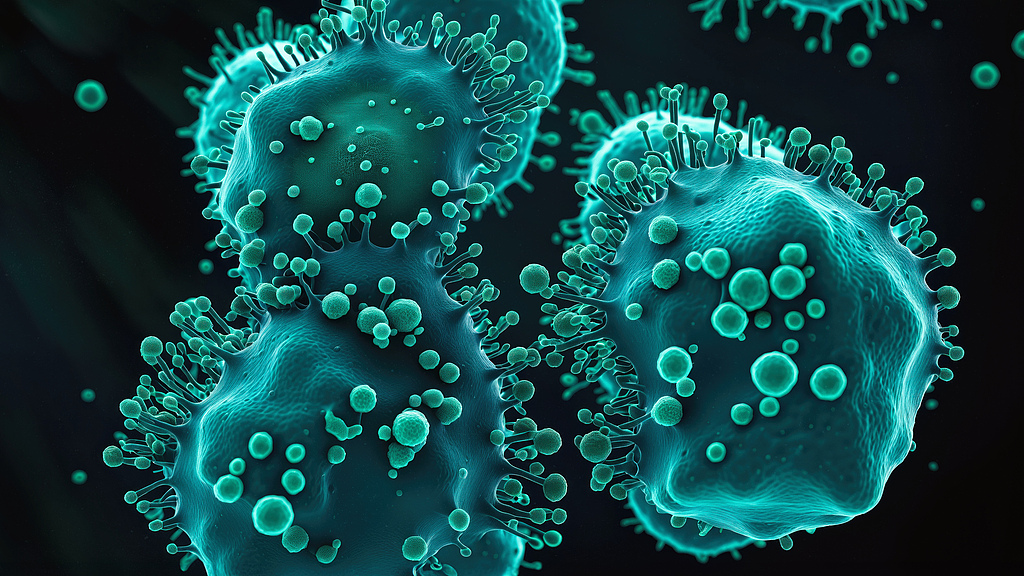 An illustration of cancer cells. /VCG