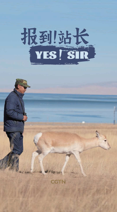Yes! Sir | CGTN